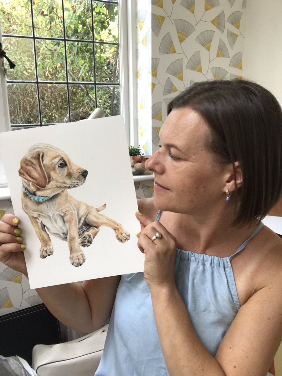 FaithfulWild's tweet photo. The puppy stage goes So Fast! Here’s Casper drawn in coloured pencil at 10 weeks old. (He’s huge now!) #DogsOnTwitter #pencilsketch #draw #petportrait #LabradorRetriever https://t.co/XFUbeLu7yK