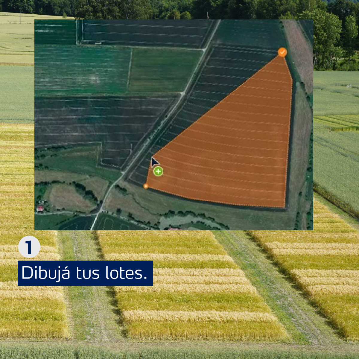 YaraArgentina's tweet photo. ¡Monitorear tus cultivos nunca fue tan fácil!
Deslizá y enterate el paso a paso de cómo realizar aplicación variable de nitrógeno en tus cereales de invierno con la ayuda de Atfarm y N-tester.
Para utilizar Atfarm seguí el link
#Atfarm #CerealPlus
#CampoArgentino #YaraArgentina https://t.co/VqsTaUaGyq