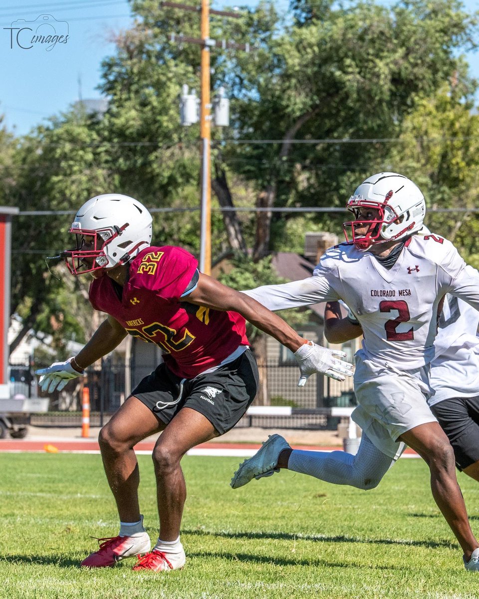 Dillon Lyons tweet media