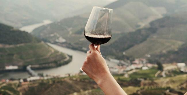 lefigarovin's tweet photo. Foire aux vins 2022 : les 5 vins du monde à ne pas manquer
👉 https://t.co/Ol9HeickCu
#foireauxvins2022 #coupdecoeur #vindumonde https://t.co/5Q628FvLsy