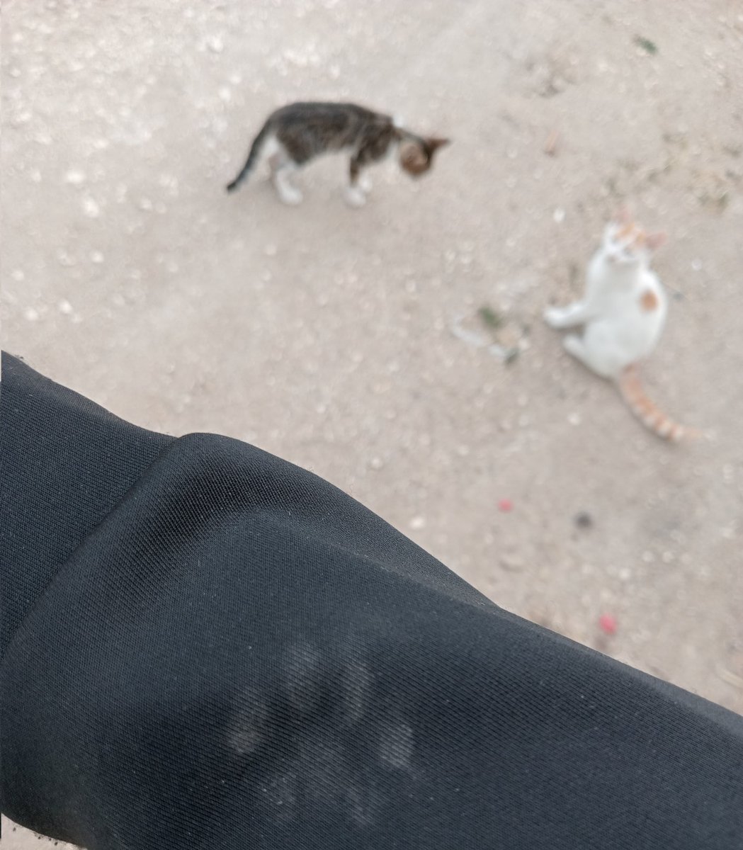 _anagapesis2's tweet photo. Dövmesini bile yaptırabilirim https://t.co/FaRXatTGut