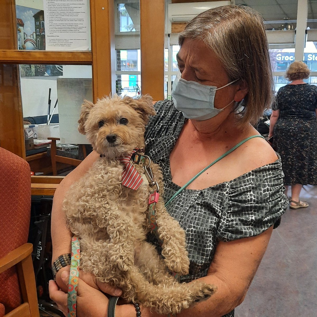 OttawaWestCS's tweet photo. Today we had a very handsome visitor. Welcome back Felix, it’s great to have Pet Therapy back in the Day Program. We love your tie! #OWCS45 #OWCSDP #PetTherapy https://t.co/S2bf6sk7L1