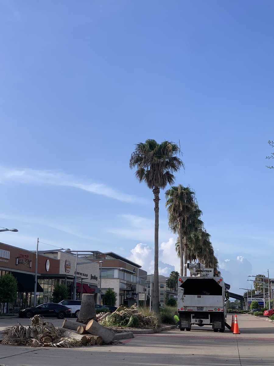 IG: KarlosHouston🌴 tweet media