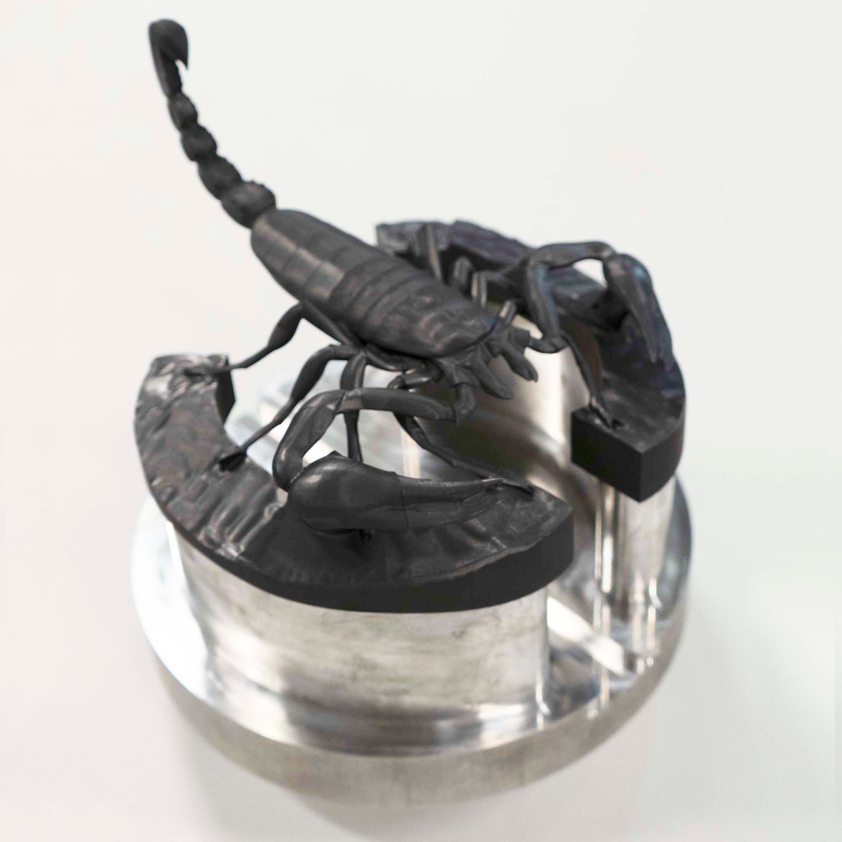 mc_mits's tweet image. The OPS V550 never fails to impress 🤩 take a look at this sweet scorpion piece we made with it! 

#scorpion #socool #machining #artpiece #amazing #art #metalart #milling #satisfying #artistic #imtschicago #imts2022 #imts #tradeshow