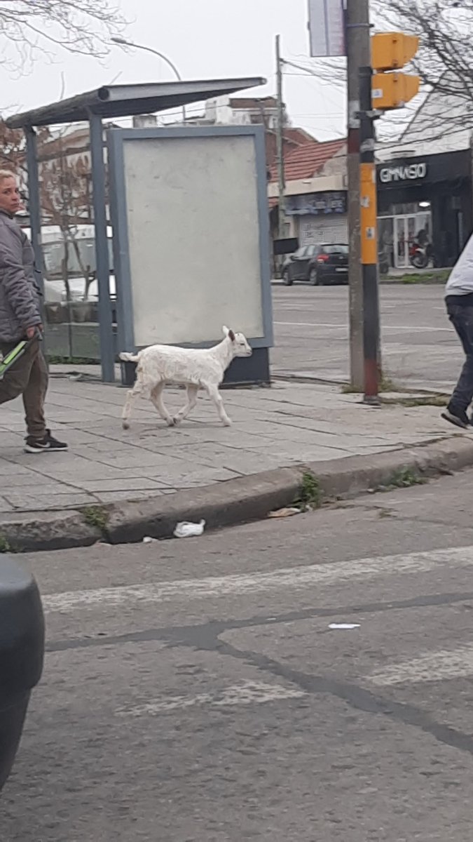 romaantoti's tweet photo. Mar del plata, no lo entenderías https://t.co/67V1d5sNIv