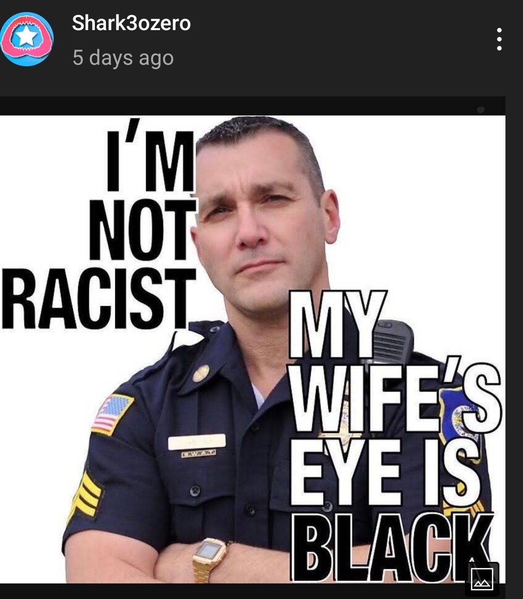 Pine Moth-BLM-ANTIFA-ACAB- tweet media