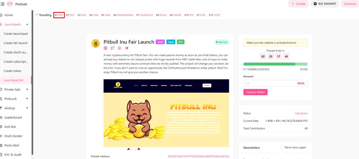 BSC PitBull Inu tweet media