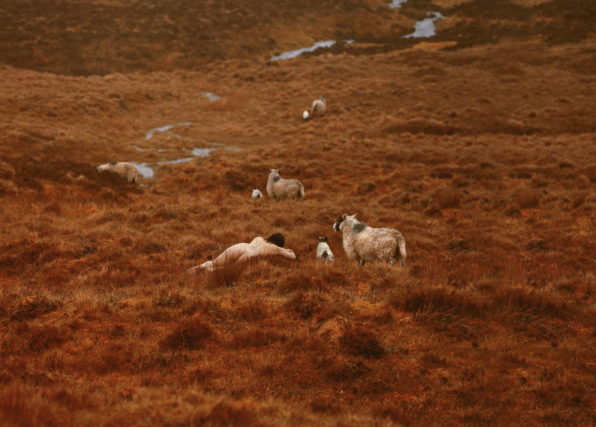 Robyn Walsh tweet media