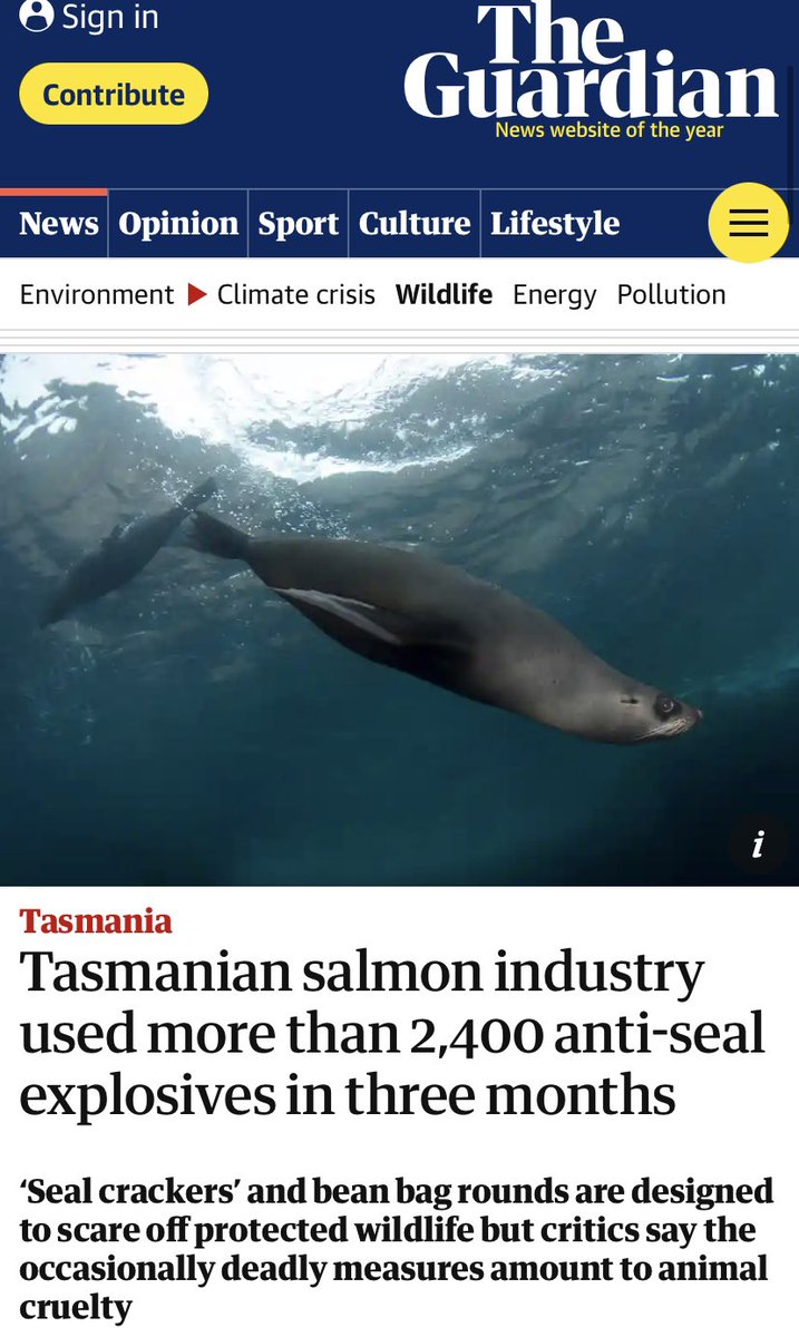 Las #salmoneras en 
#Tasmania usaron + de 2400 explosivos anti-focas en 3 meses.
La problemática no sólo está en #Chile por eso es urgente que <a href="/SubpescaCL/">Subpesca 🐟🇨🇱</a> <a href="/julio_salas/">Julio Salas</a> elaboren un plan para la salida de la industria de #areasprotegidas .
<a href="/Lucia_GEOMAR/">Lucía Villar</a> <a href="/OceanaChile/">Oceana en Chile</a> <a href="/patagoniamyt/">PATAGONIA MAR Y TIERRA</a>