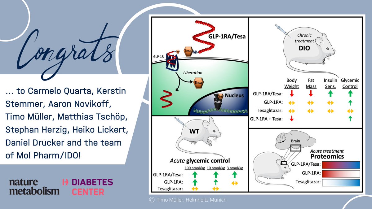 Helmholtz Diabetes Center (HDC) (@helmholtz_diabc) on Twitter photo A novel Peptide-Nuclear Hormone conjugate developed by <a href="/TimoMueller_IDO/">Timo Müller</a> and <a href="/novonordisk/">Novo Nordisk</a> improves #glucose control in preclinical studies with superior efficacy to a pharmacokinetically matched GLP-1 receptor agonist control.
📖<a href="/NatMetabolism/">Nature Metabolism</a>
🔗t1p.de/nxm3s A novel Peptide-Nuclear Hormone conjugate developed by <a href="/TimoMueller_IDO/">Timo Müller</a> and <a href="/novonordisk/">Novo Nordisk</a> improves #glucose control in preclinical studies with superior efficacy to a pharmacokinetically matched GLP-1 receptor agonist control.
📖<a href="/NatMetabolism/">Nature Metabolism</a>
🔗t1p.de/nxm3s