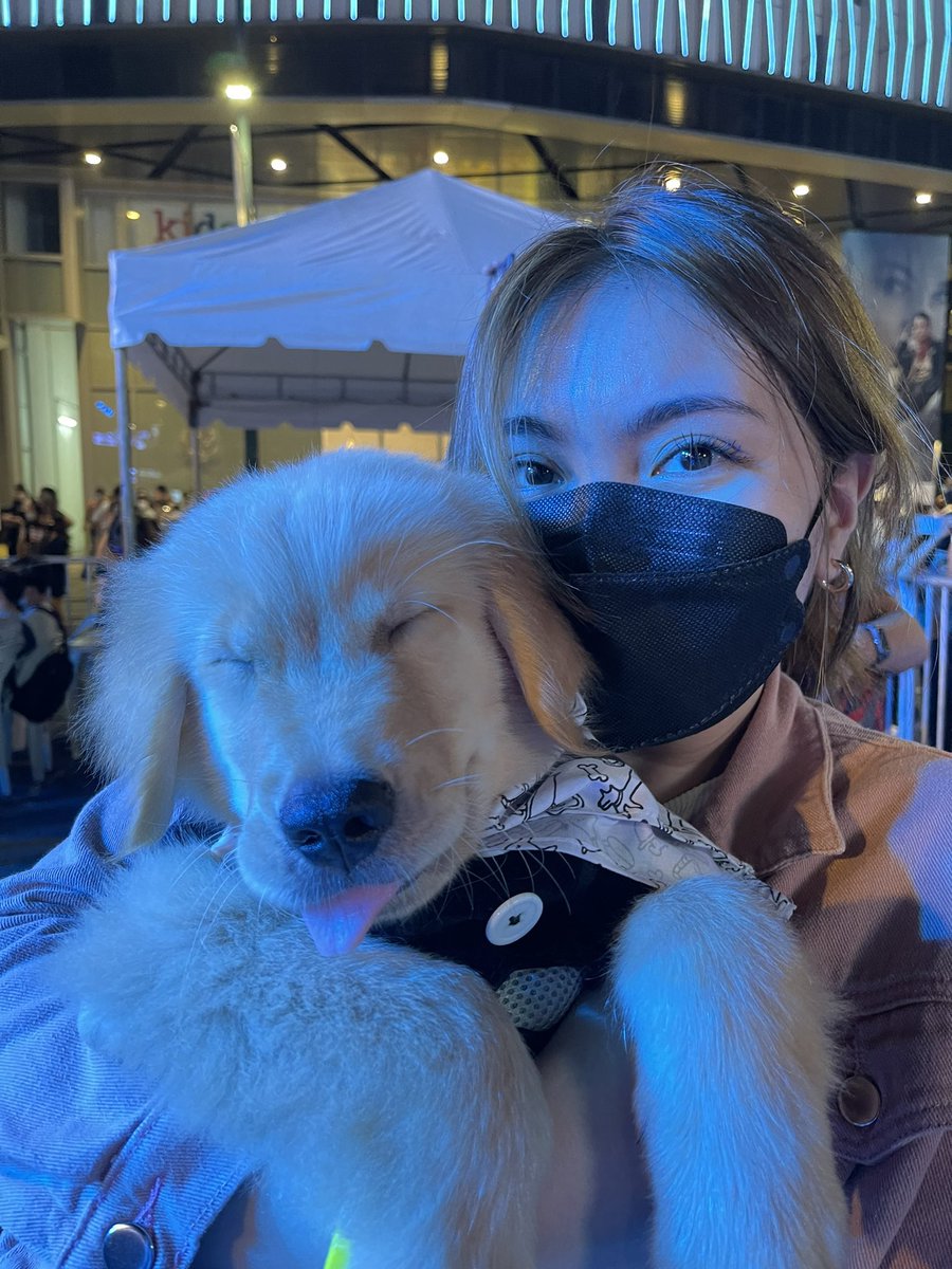 burnookie's tweet photo. Pawchella with mum! 🐾 https://t.co/AYkpbCSxd5