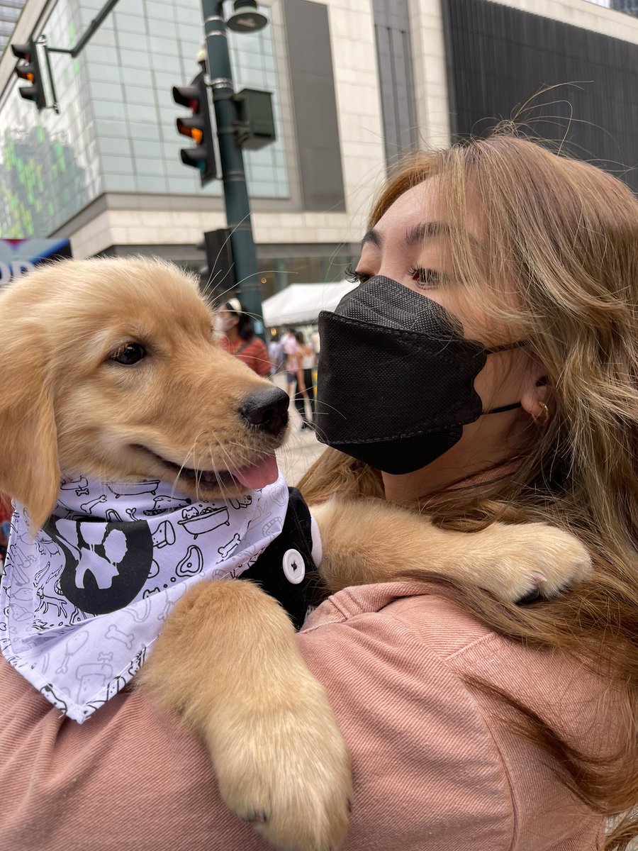 burnookie's tweet photo. Pawchella with mum! 🐾 https://t.co/AYkpbCSxd5