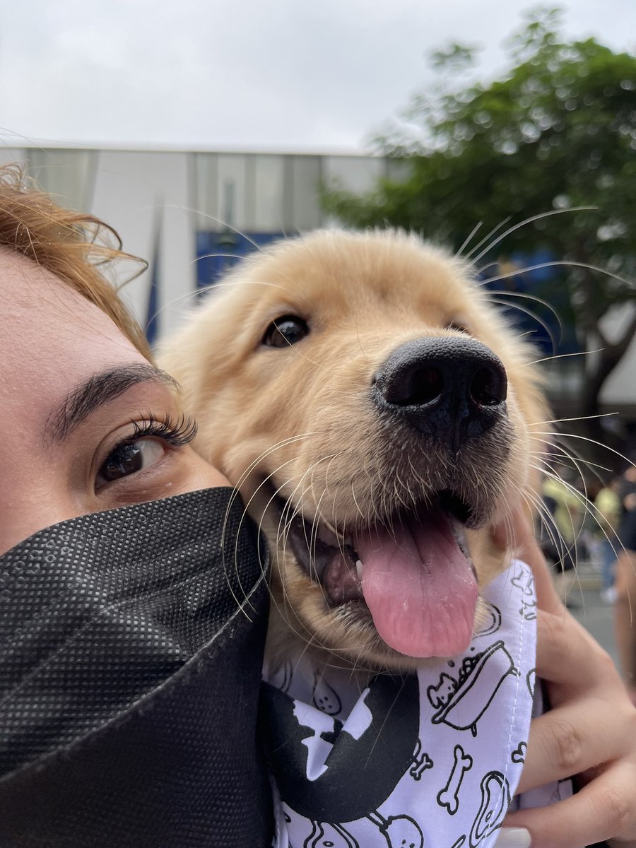 burnookie's tweet photo. Pawchella with mum! 🐾 https://t.co/AYkpbCSxd5