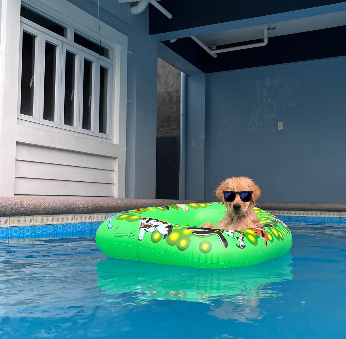 burnookie's tweet photo. Chillin’ 😎 https://t.co/rZ7GIa9Jec
