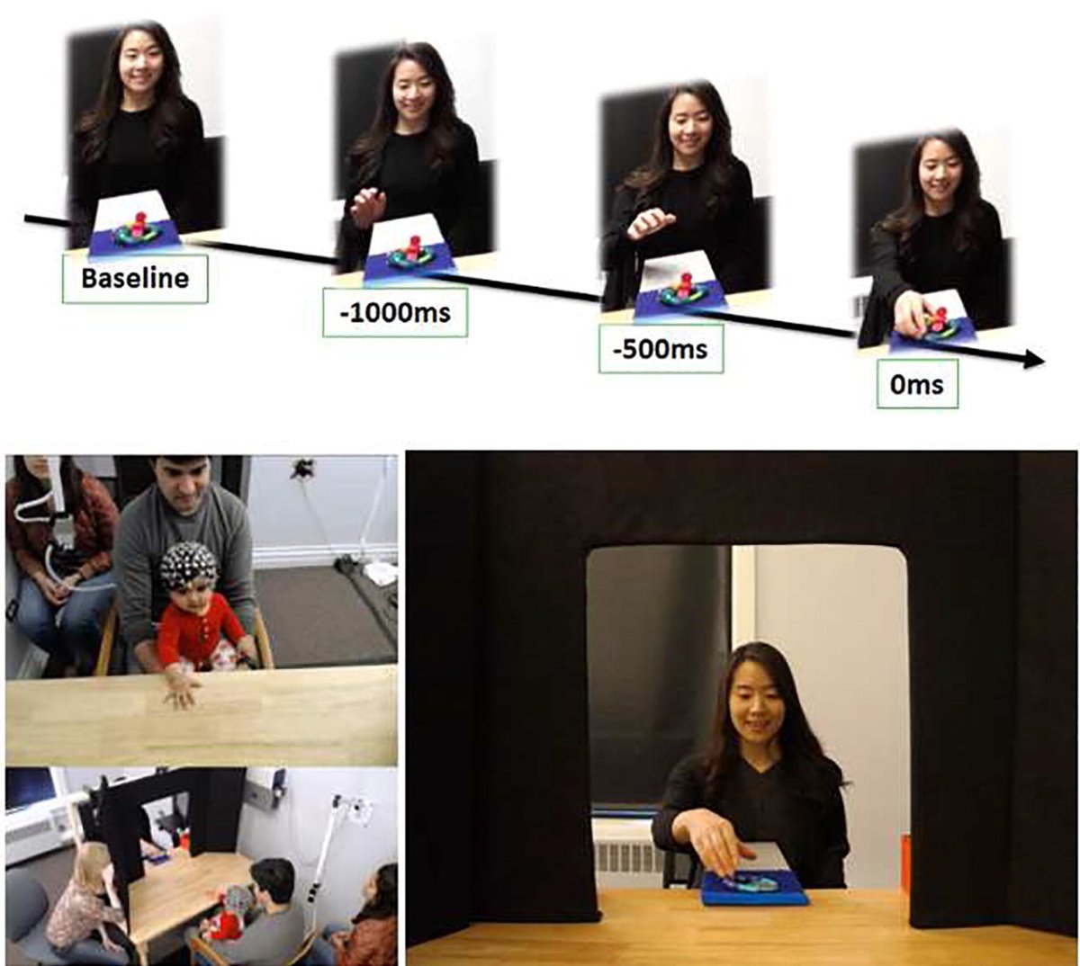 MagstimEGI's tweet photo. New Paper: Social context shapes neural processing of others’ actions in 9-month-old infants. #eeg #hdeeg @AcademicEEG #neuroscience @sciencedirect
https://t.co/TU8MIkE95s https://t.co/BJWbBgndfl
