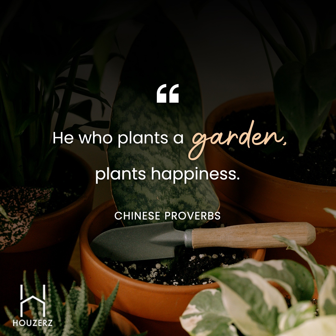 houzerz's tweet image. Always find a reason to bloom with others and plant happiness with them.
 
Mention someone who brings you joy!

#Inspiration #Motivation #Garden #Plants #Quotes #RealEstate #Home #Property #Houzerz