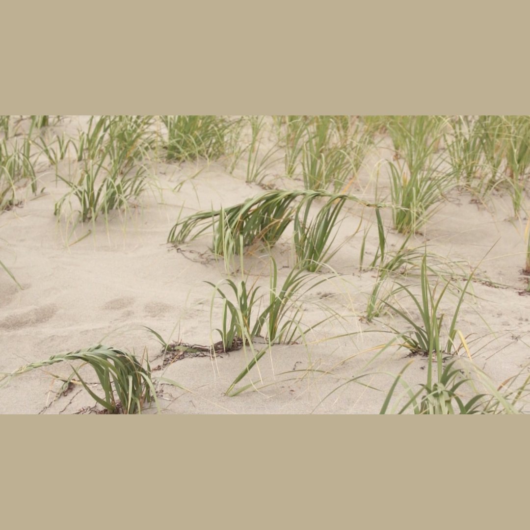 The work created for Port Manteau follows a self-led research trip, during which the artist returned home to Ktaqmkuk/Newfoundland to reconnect with family and land.
Mikiki presents new considerations on identity, anarchy, loss, and holes.