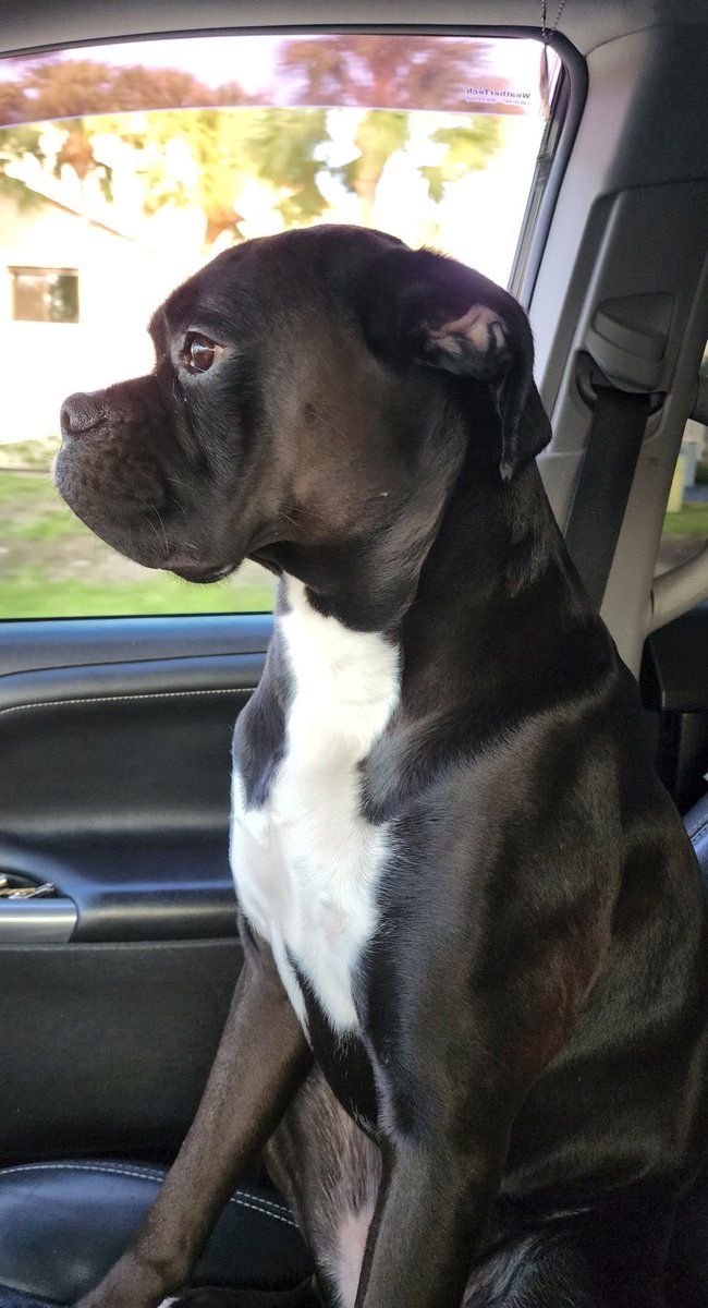 Super Focused on the road cuz Mum's driving!