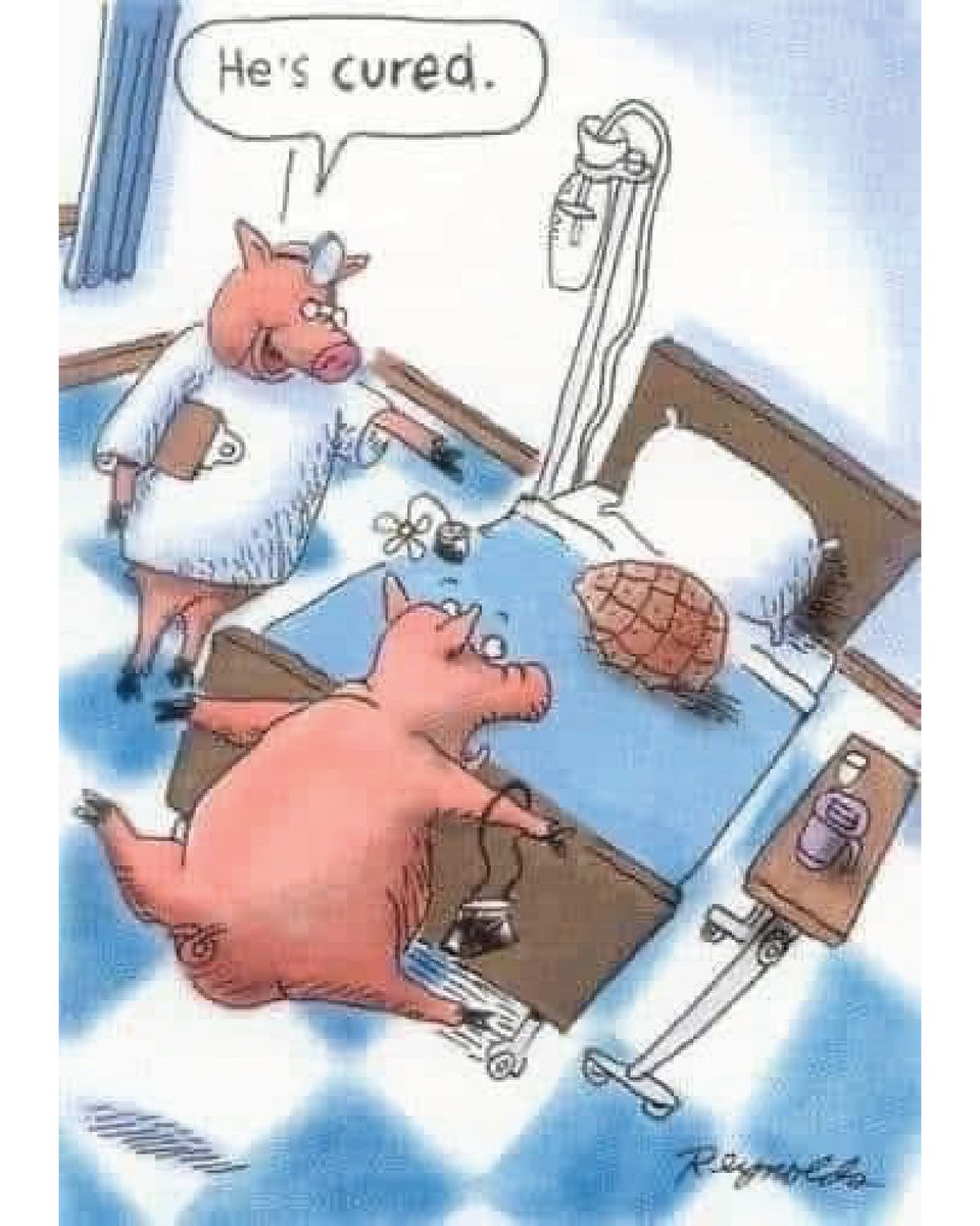 🐷 Motivational Monday

Image Credit @reynoldsunwrapped