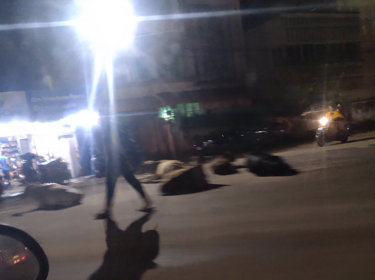 bbsrcapital's tweet photo. From Palaspali through Kargil road towards Pokhariput, a motorist will find a lot of stray and domestic cattles roaming freely or sleeping on road. Pokhariput roundabout is the safe cow shelter. Accidents happen due to this. @bmcbbsr @cpbbsrctc do not bother to pay any heed https://t.co/NbG4RBOf2t