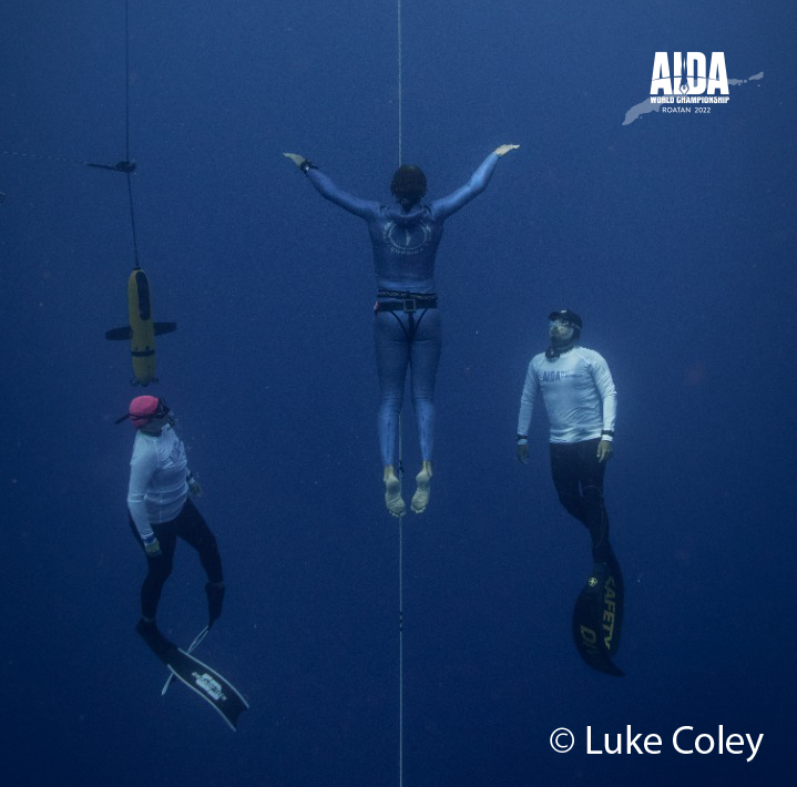 AIDA International tweet media