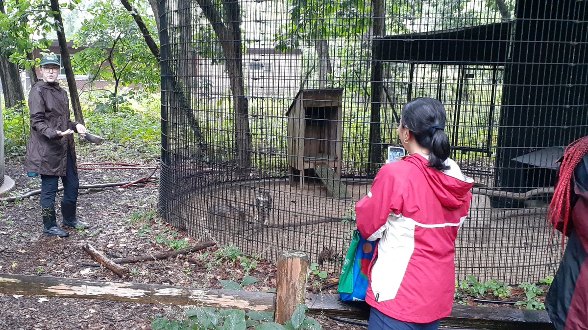 A little rain didn't stop us! Thanks to all who came out to our Nature Walk at Sandridge Nature Center this weekend. Check out our Calendar for more events coming up this Fall at shlibrary.org/calendar.

#SHPLibrary #nature #naturewalk #forestpreservecookcounty #forestpreserve