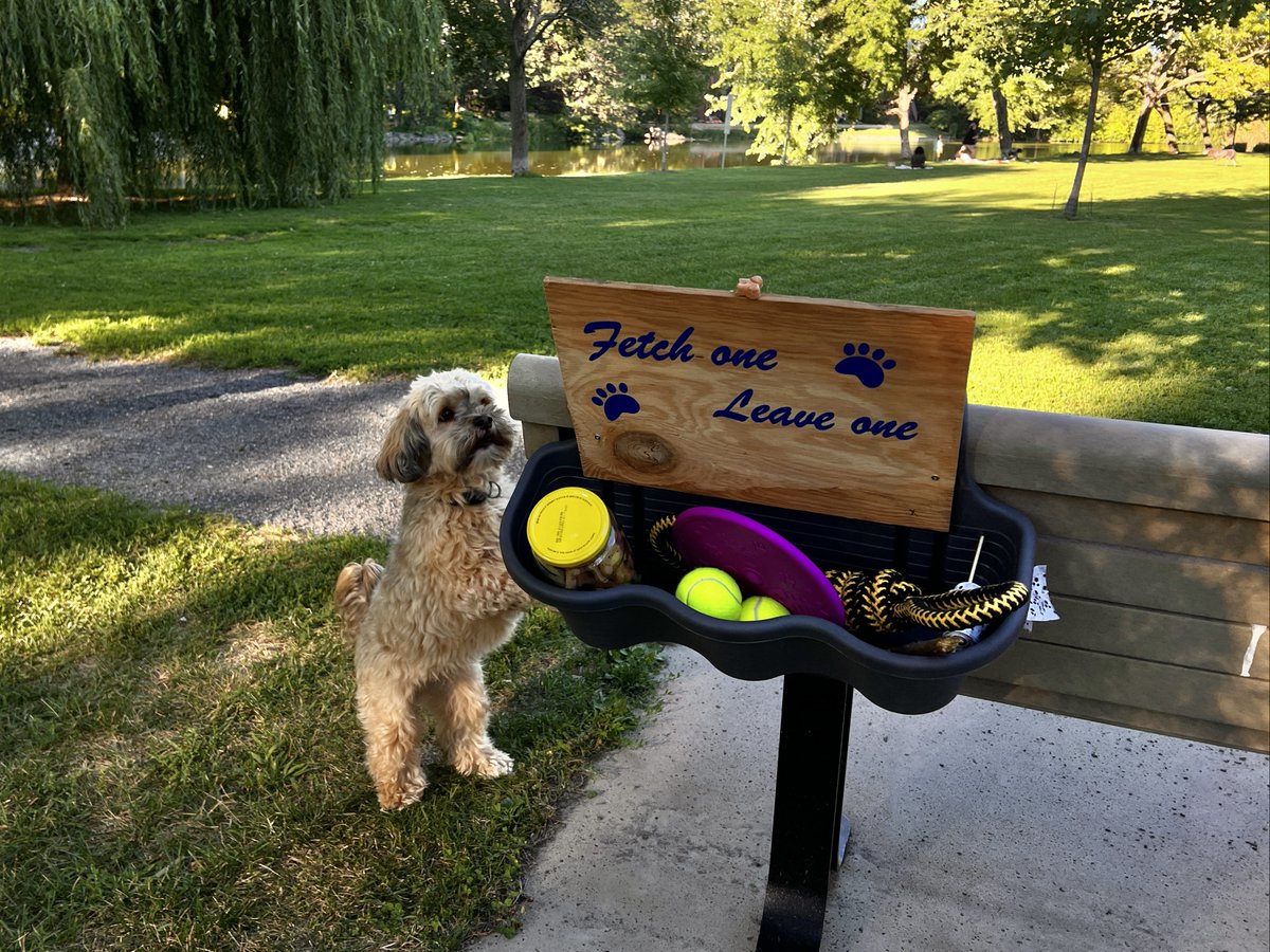 GISHPantheon's tweet photo. 80. Create a Little Free Toy Library at a playground with jump ropes, balls, shovels and pails, small toys and other play equipment, or a Little Free Dog Toy library at a dog park with sticks, balls, frisbees, and other dog-friendly toys. #GISH #GISH2022 #Item80 https://t.co/A89xkbwPnT