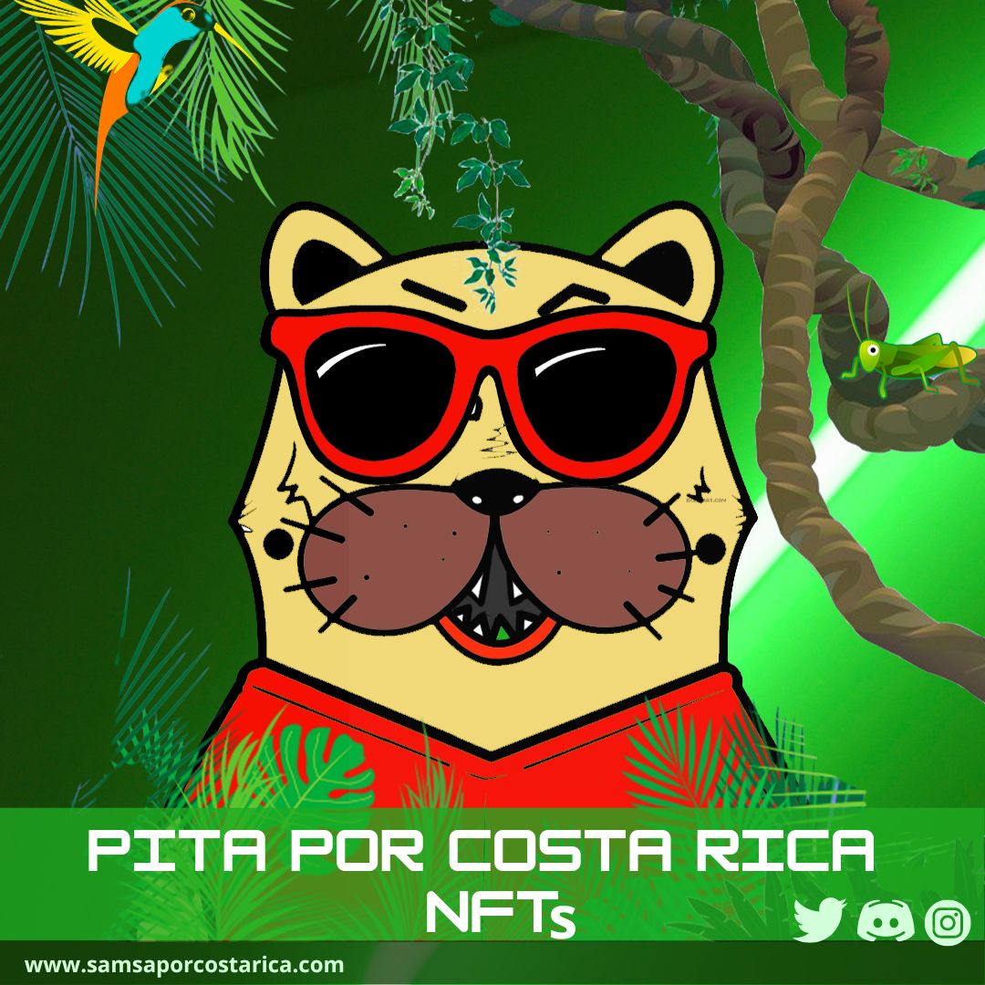 PITA POR COSTA RICA tweet media
