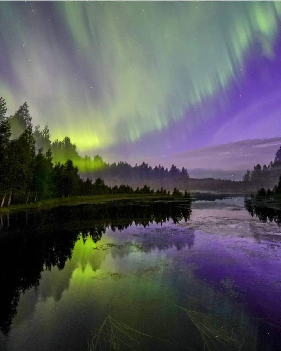 آية مفزعة لمن كان له قلب..)
﴿ومَن يُرِدِ الله فِتْنَتَهُ فَلَن تَملِك له منَ الله
 شَيْئًا أُولَٰئكَ الذِينَ لَمْ يُرِدِ اللهُ أَن يُطَهِّرَ قُلُوبَهُم﴾.
.
ينيغي للعبد أن يديم الدعاء ..
(اللهم حبب إلي الإيمان وزينه في قلبي، وكره إلي الكفر والفسوق والعصيان، واجعلني من الراشدين)