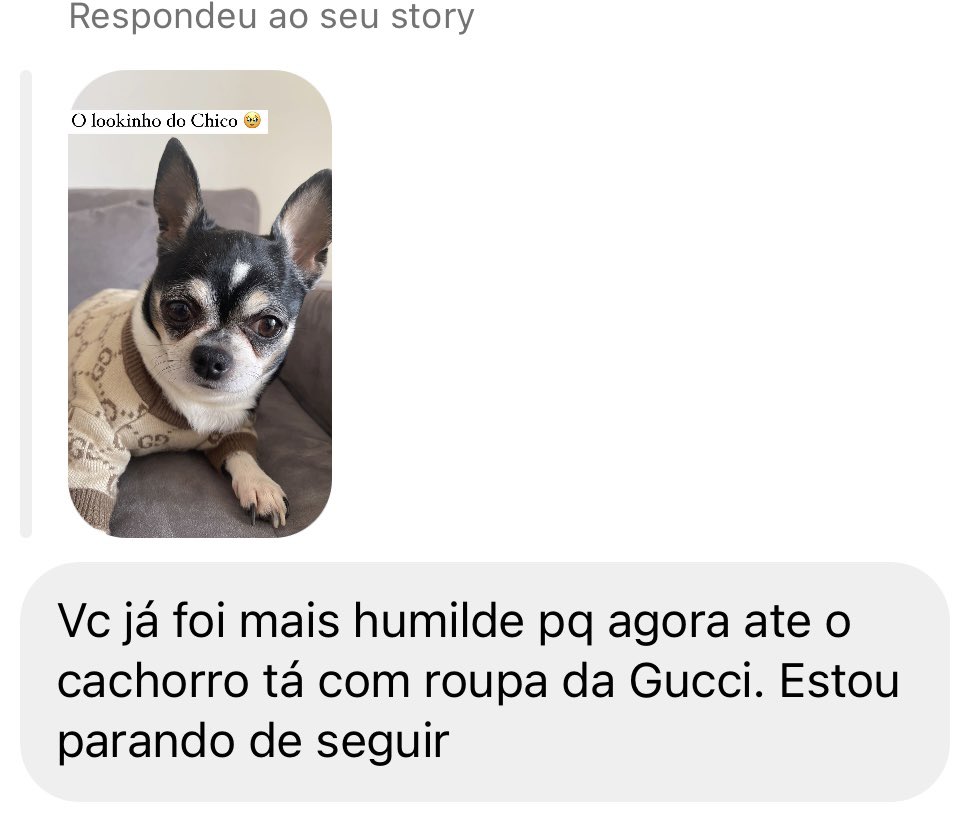 victoroliveira's tweet photo. Hoje no instagram ponto com: postei um story do meu cachorro com um moletom da Gucci comprado no AliExpress e veja no que deu https://t.co/fyAdjmP8T2