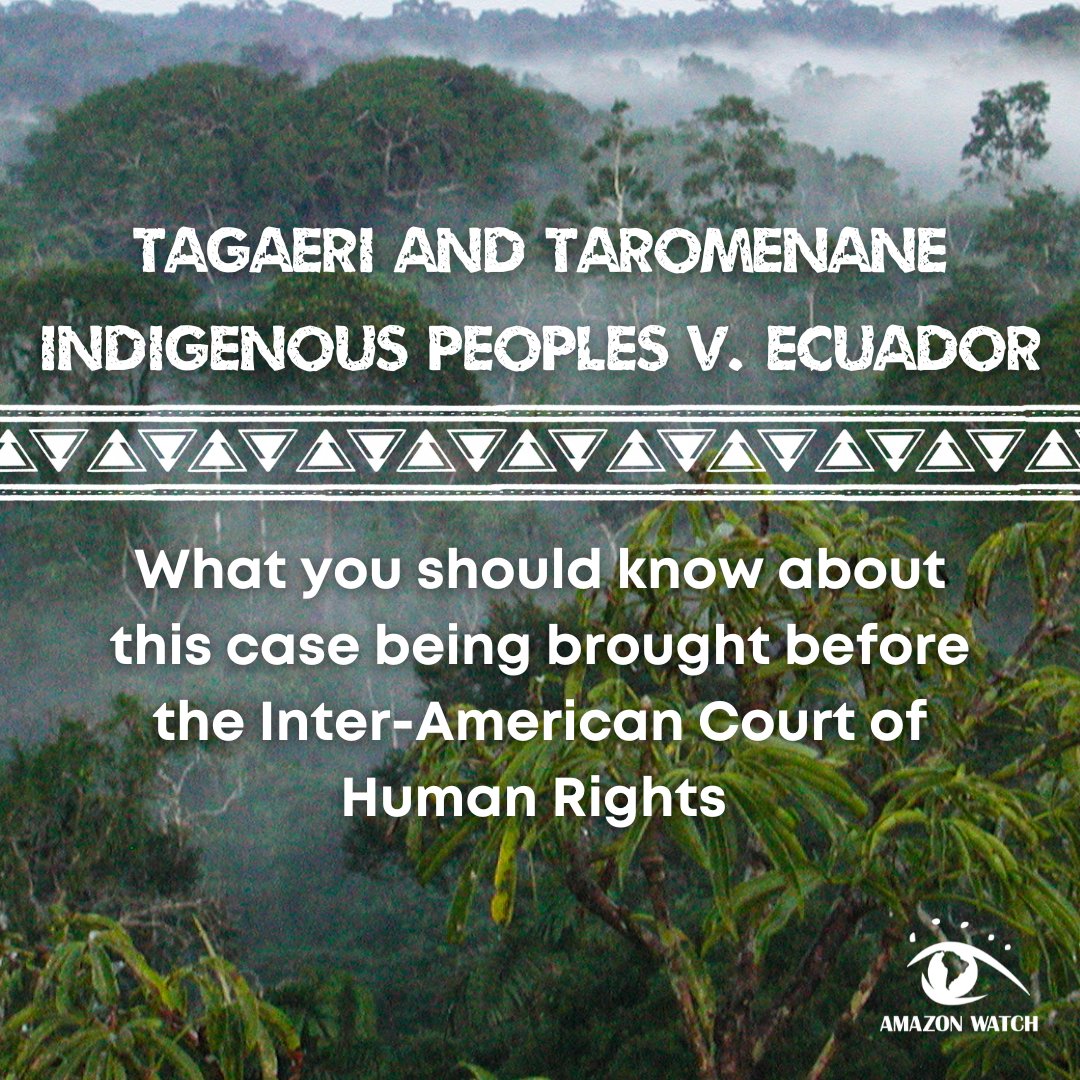 amazonwatch's tweet photo. The Ecuadorian govt. led by @LassoGuillermo continues to threaten the survival of Indigenous peoples in the Amazon. The Tagaeri &amp; Taromenane live in voluntary isolation in Yasuní National Park, their case against Ecuador will be brought before the @IACourtHR on Aug 23. 🧵1/5 https://t.co/MV2MUUV4ZT