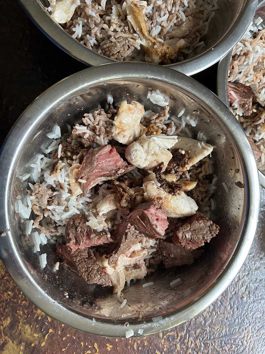 Bonnie & 🌈Holly Greyhound🌈💔😭 tweet media