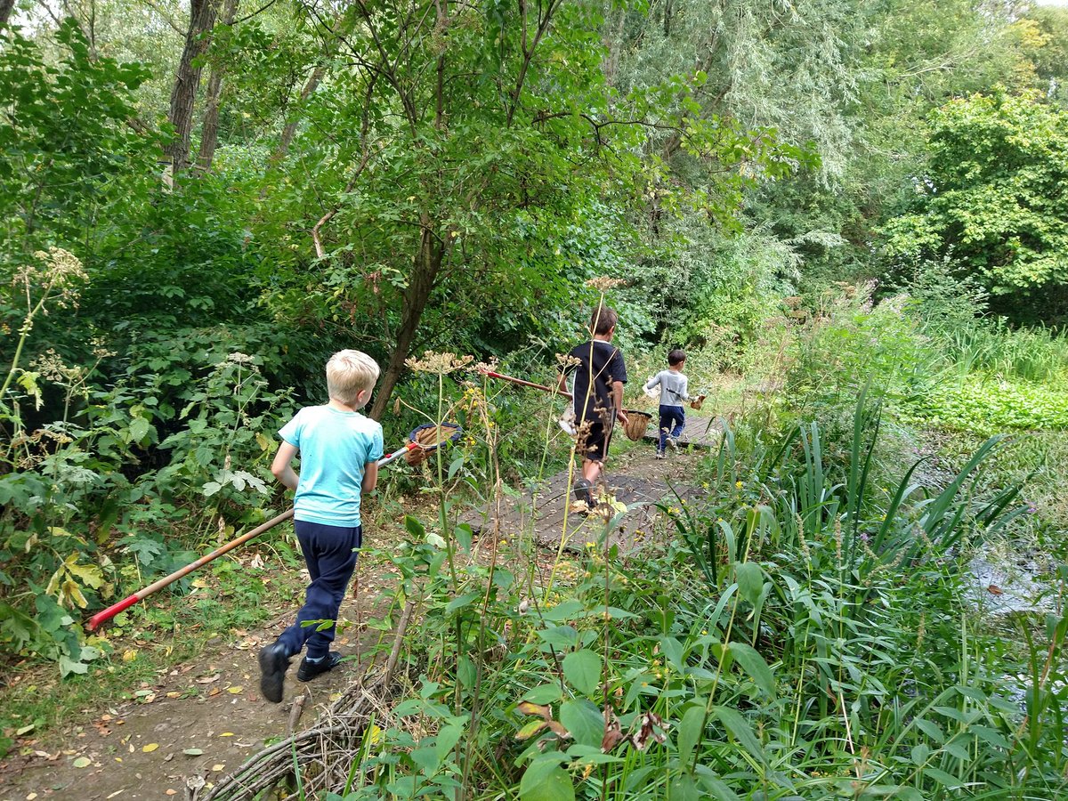 #WeActiveChallenge #AHPsActive a nature trail & pond dipping to get in the steps today