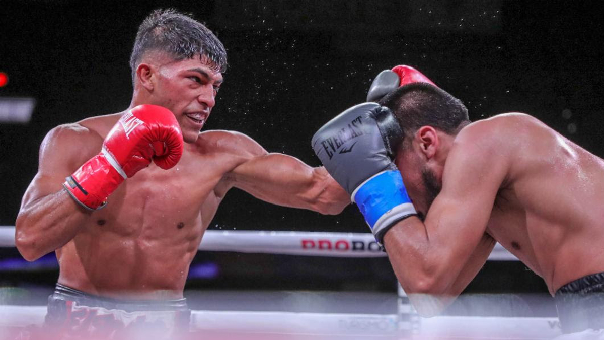 Voces del Sur tweet media