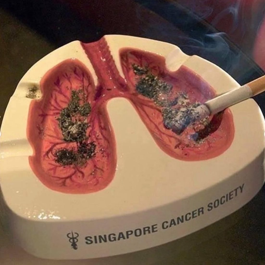 weirdtripclub's tweet photo. Cigs inspiration ©
#weirdtrip #smokeemifyougotem #quitsmoking https://t.co/zaTJ0sKL66