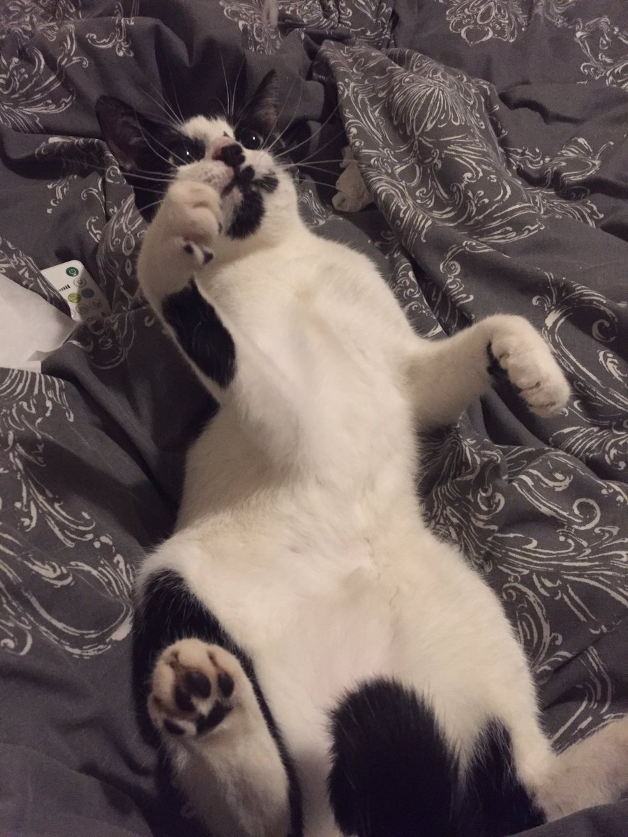 claredulune's tweet image. Why is she this cute?!?!