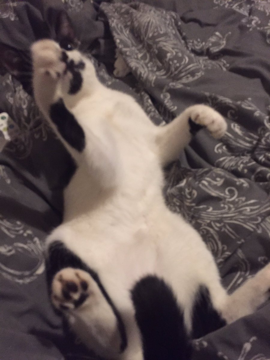 claredulune's tweet image. Why is she this cute?!?!