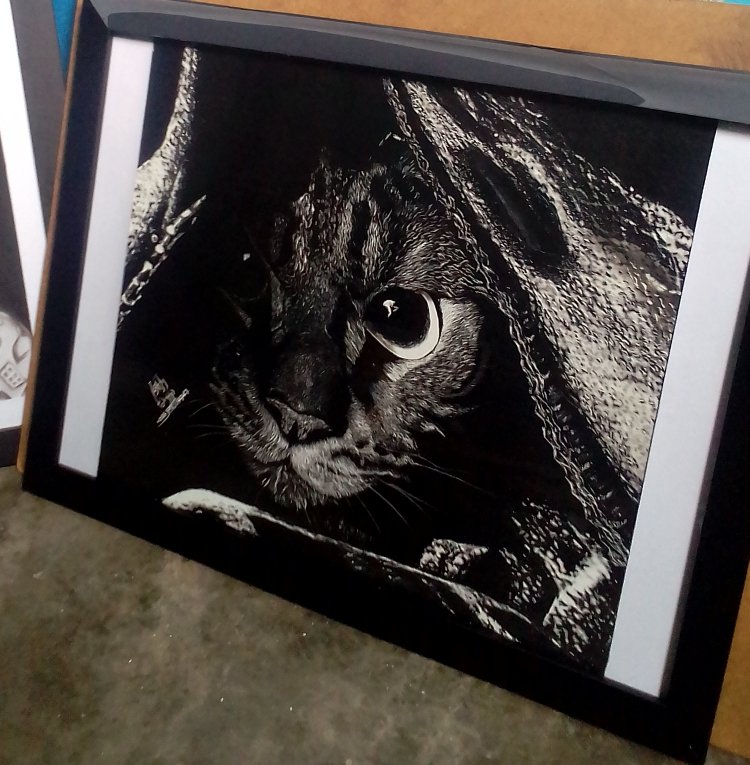 Wow!! a very nice cat in a dark 
I love animals... that's why I do such fabulous hidden cat... share and like.. retweet it...#keithBoldy