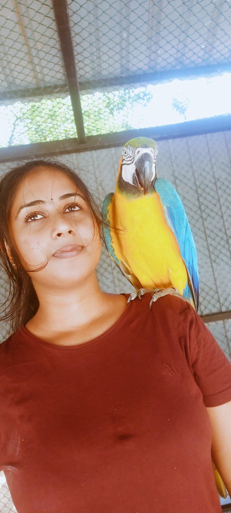 Jhalinyjoka's tweet photo. #hambantota #birdpark அழகான பறவைகளுடன் ஒருநாள் 🦅 மறக்க முடியாத அனுபவம் 💕 #Jhaliny https://t.co/sQV3qvMwhI