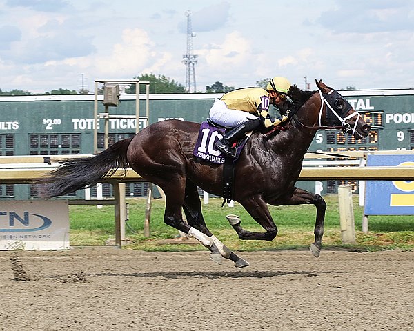 BloodHorse's tweet image. Game Seven Becomes First Winner For Hoppertunity bit.ly/3dKg4pc @BH_EMitchell