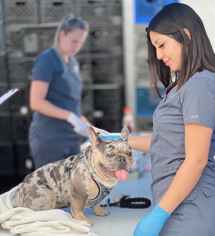 foothill_unity's tweet photo. This past Sunday was our monthly vet clinic held in partnership with @PasadenaHumane. Thanks to partners like Pasadena Humane, Foothill Unity Center can continue to serve families holistically, including their furry family as well. #affordablevetcare #FoothillUnityCenter https://t.co/awv3AnKF1w