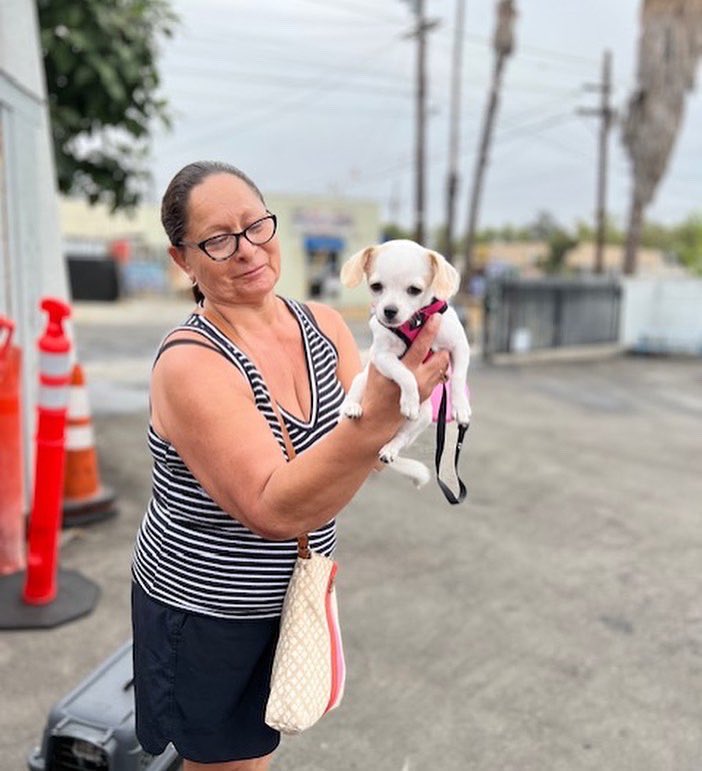 foothill_unity's tweet photo. This past Sunday was our monthly vet clinic held in partnership with @PasadenaHumane. Thanks to partners like Pasadena Humane, Foothill Unity Center can continue to serve families holistically, including their furry family as well. #affordablevetcare #FoothillUnityCenter https://t.co/awv3AnKF1w