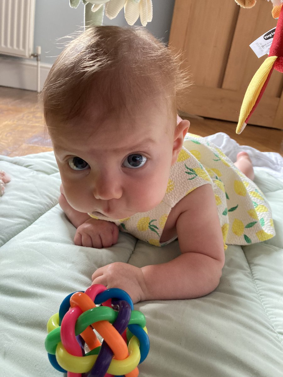 Felicity Coad tweet media