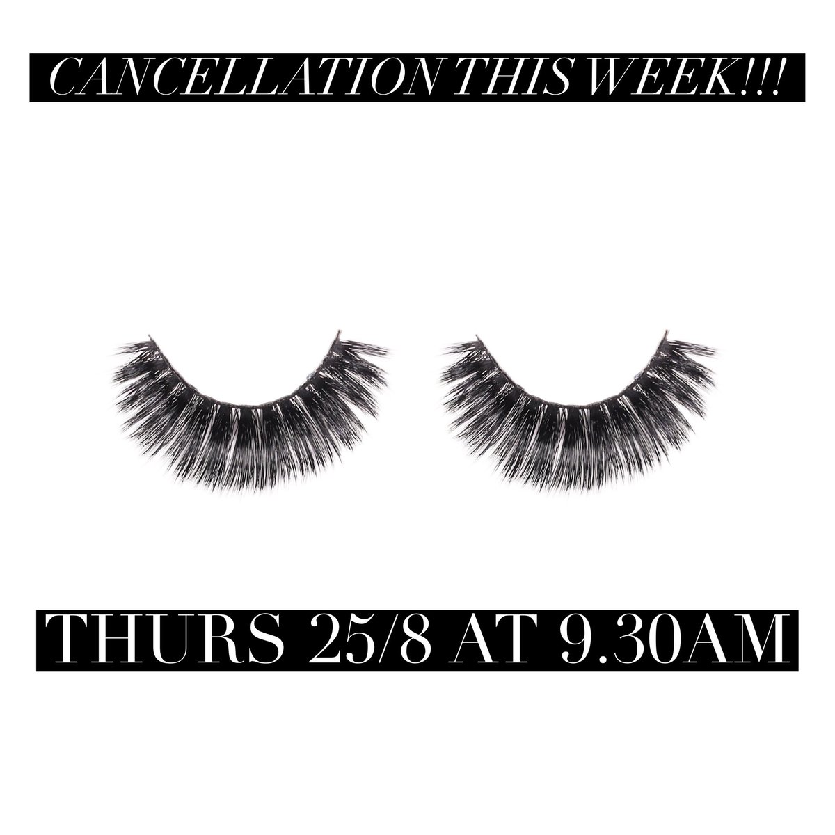 lashes2_nails's tweet photo. Last minute appointment available this Thursday 25/8 at 9.30am.  Suitable for Classic, Hybrid or volume lashes #classiclashes #hybridlashes #volumelashes #lashes #treatyourself #lashesscotland https://t.co/L3qIUpJIny