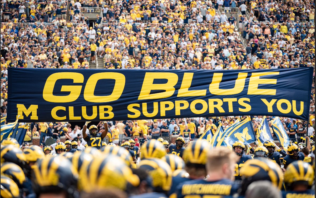 Zoey Holmstrom tweet media