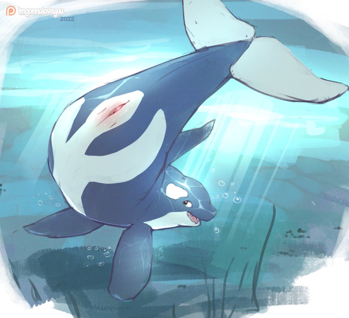 <3 Playful Orca <3