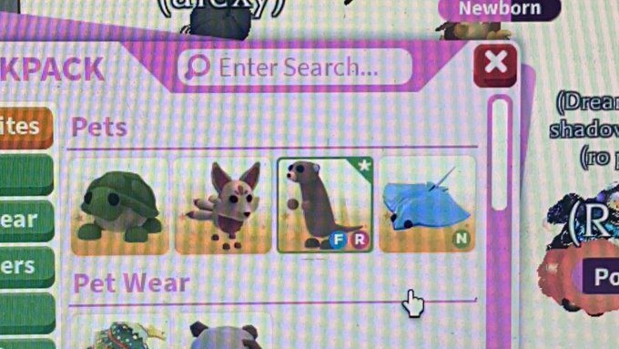 UrWiv3's tweet photo. Looking for meerkat giving either neon fly ibex, neon ride salamander ,neon monkey or neon poodle (NOT MY PICTURE) idc if it has no pot on it or if it does trying to look for higher age if not thats ok #adoptmetrades #adoptmetrading #adoptmetradings #adoptme #meerkat https://t.co/tkO0MytDFs