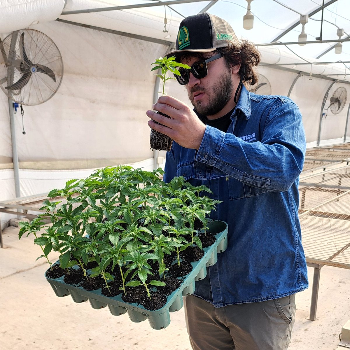 🌿 En el marco de la visita de #CAME a #Jujuy, autoridades de la entidad recorrieron <a href="/CannavaSE/">Cannava</a>, primera empresa estatal dedicada a la producción de derivados medicinales de #cannabis de Argentina 🇦🇷.