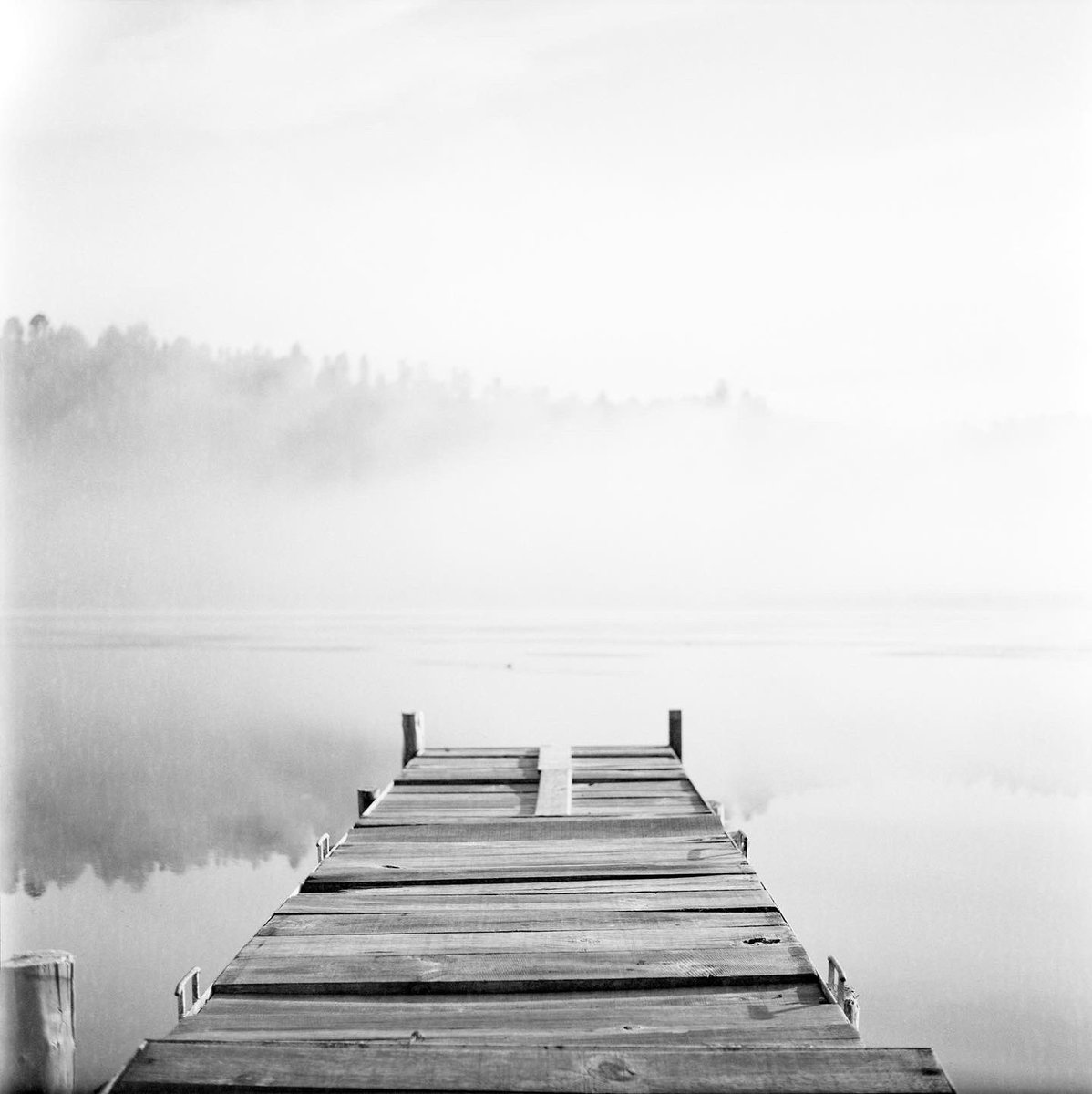 Refugio #120film #yashicamat124g