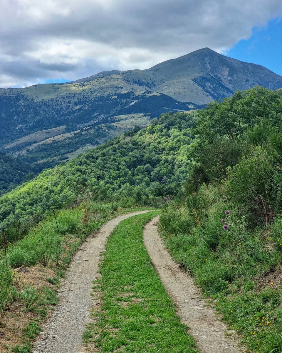 ricardrigall's tweet photo. Cap al Costabona. #cotabona #espinavell #molló #ripollès #lapresta #pratsdemolló #vallespir #bicicleta #btt #mtb #estiu2022 https://t.co/R9Wcdj5y1r
